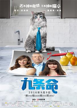 儿子的女朋友
