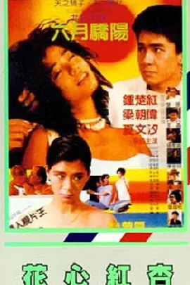 av动漫免费观看