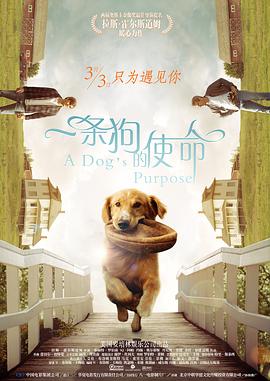 99热免费精品